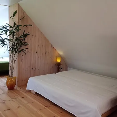Apartment Nyrenoveret 1sals Med Herlighedsvaerdi Assens